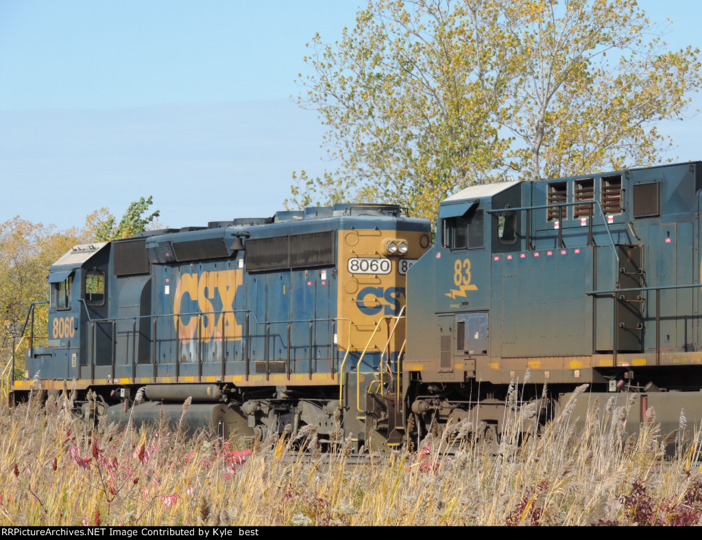 CSX 8060 and 83